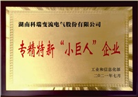 公司獲評國家級(jí)專精特新“小巨人”企業(yè)