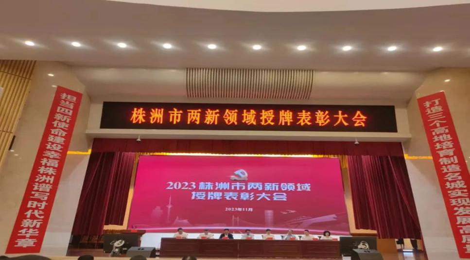 公司董事長(zhǎng)丁勁松先生獲評(píng)株洲市2023年兩新領(lǐng)域支持黨建工作優(yōu)秀企業(yè)家
